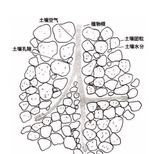 土壤里面学问大，搞不清楚这些别瞎种地！