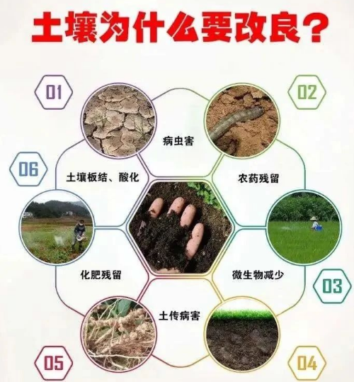 土壤改良你到底了解多少？