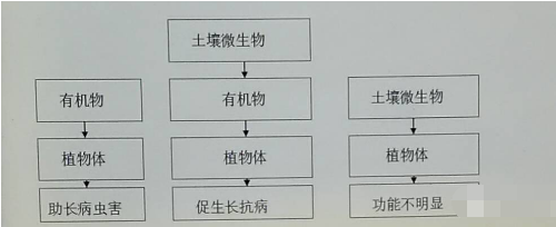 土壤微生物的14大作用