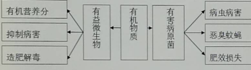 土壤微生物的14大作用