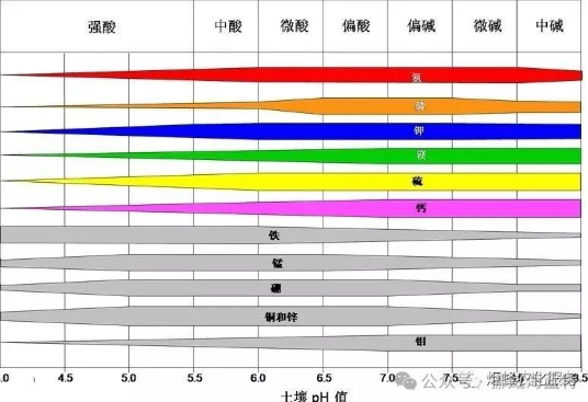 作物根系生长三要素