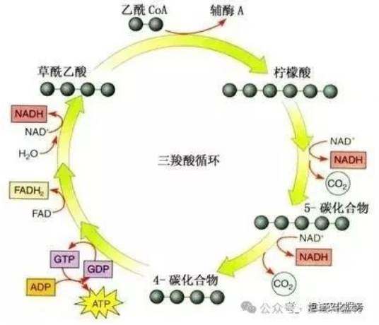 作物根系生长三要素