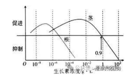 作物根系生长三要素