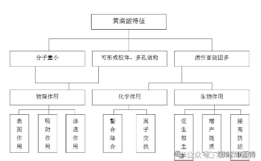 作物根系生长三要素