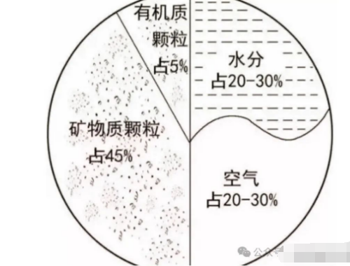 菜地土壤很结怎么办？用这个方法吧，村里老菜农都在用