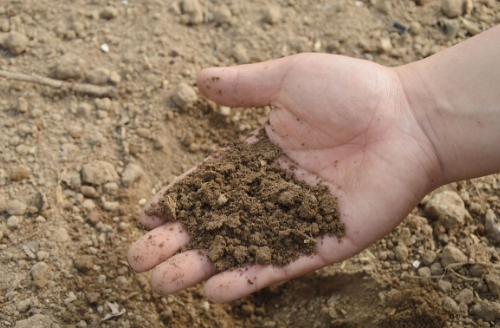 土壤改良的8种方法