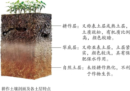 如何提升耕作层土壤肥力？