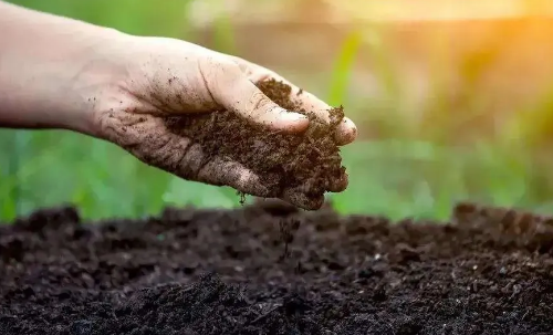 土壤的重要性及现状