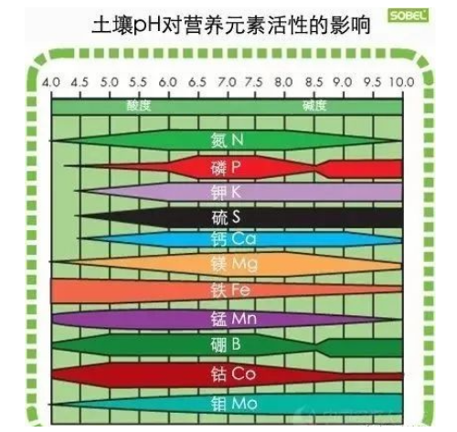 如何提升土壤有机质？投入有机肥竟然如此重要！