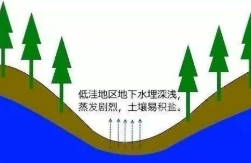 高考地理中的土壤盐碱化