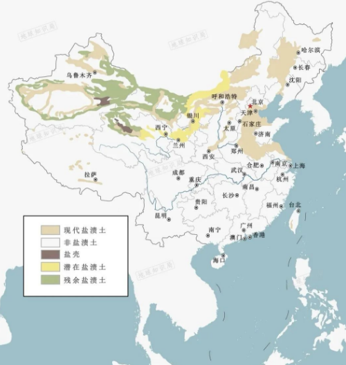 高考地理中的土壤盐碱化