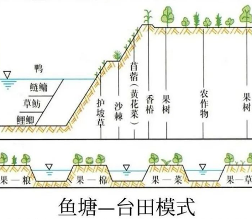 高考地理中的土壤盐碱化