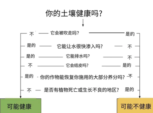 土壤（健康）评估从问“我的土壤有什么问题”开始