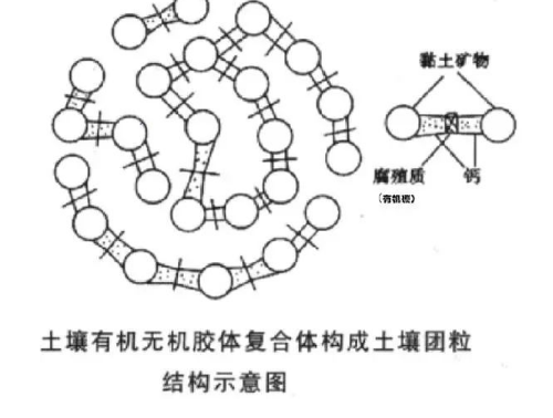 农业人必看！这些土壤知识你了解吗？