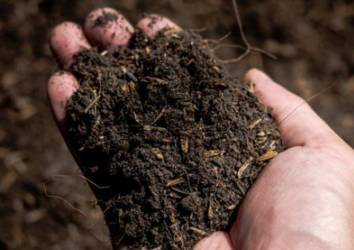 土壤“有病”的六大症状！第一条几乎人人都有
