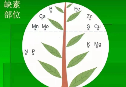 土壤面临的十大问题，我们能视而不见吗？