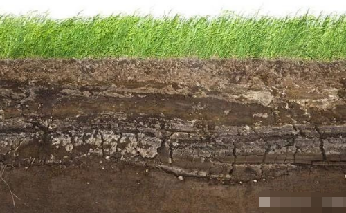 土壤面临的十大问题，我们能视而不见吗？