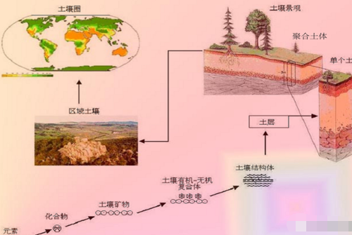 有机肥等不等于土壤有机质呢？