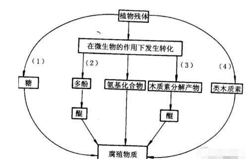 有机肥等不等于土壤有机质呢？