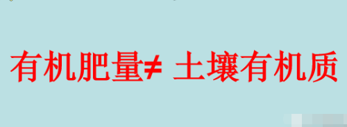 有机肥等不等于土壤有机质呢？