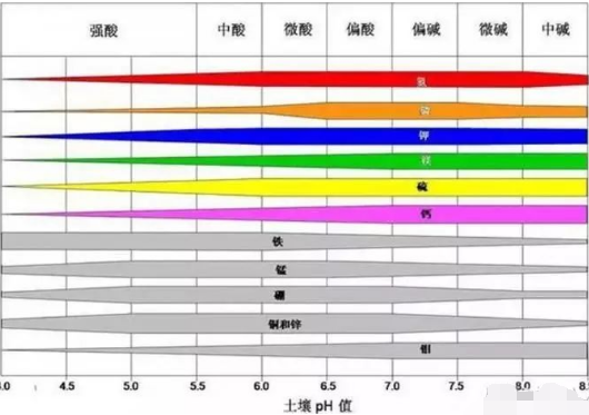 醒醒吧！土壤病了，用再多肥料也白瞎！