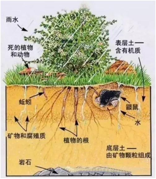 土壤肥力，有机质的七种作用