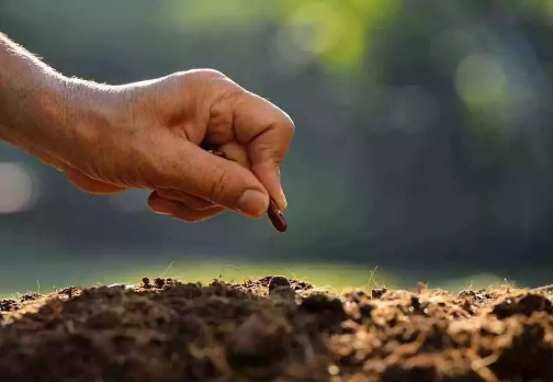 土壤肥力，有机质的七种作用