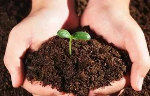 土壤肥力，有机质的七种作用