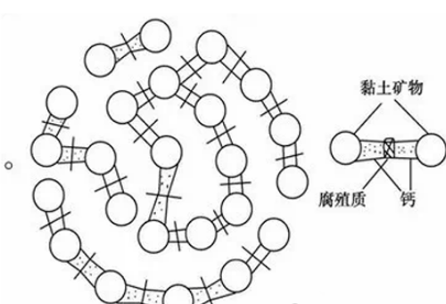 土壤病了，还在拼命撒化肥？5个措施教你改良，很实用！