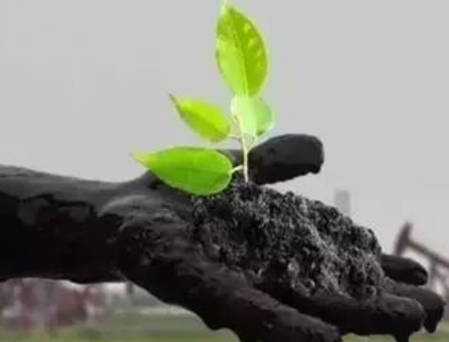土壤调解的原因是什么？