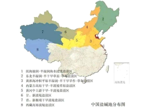 土壤盐渍化分为原生盐渍化和次生盐碱化两类
