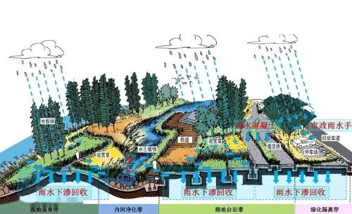 土壤盐渍化分为原生盐渍化和次生盐碱化两类
