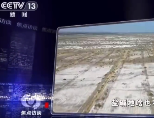 央视《焦点访谈》：我们该怎么样向盐碱地要粮食？