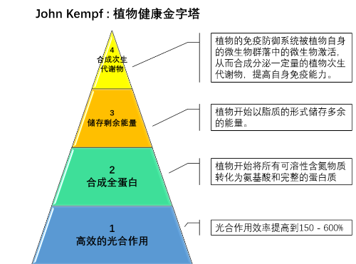 植物健康的四个等级→