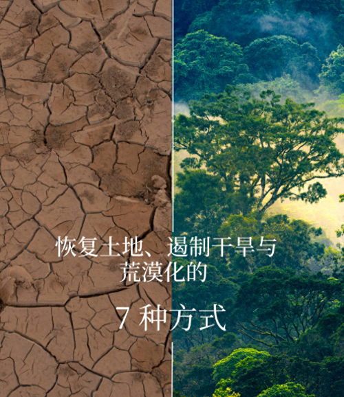 土壤恢复，任重道远，需你我携手