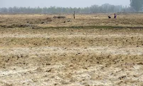 盐碱地综合利用主要面临以下四方面困难和挑战→
