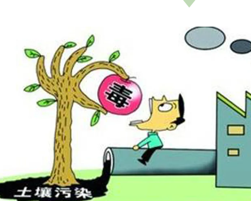【健康知识普及行动】世界环境日——守护健康土壤，共筑美好家园