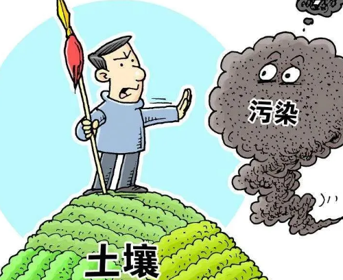 【健康知识普及行动】世界环境日——守护健康土壤，共筑美好家园