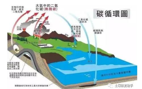土壤有机质究竟有什么作用？