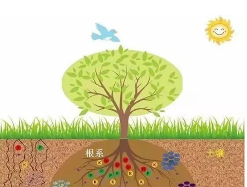 土壤有机质究竟有什么作用？