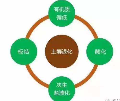 中国土壤真的“累了”，土壤十大病症，看完吓你一跳！