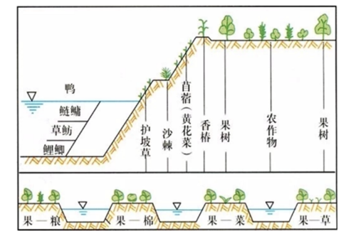 高考地理：土壤剖面、成土因素、土壤养护
