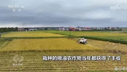 央视《焦点访谈》：沃土造良田 闲地“土生金”！