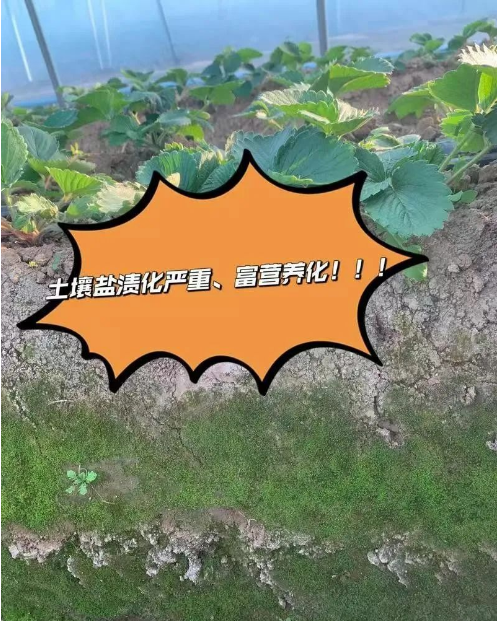土壤修复迫在眉睫