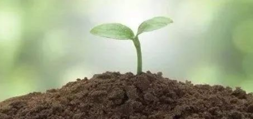 【农业知识】土壤病害的10种危害