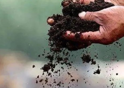 土壤的酸碱性，会直接影响到土壤上所种植的植物的生长→