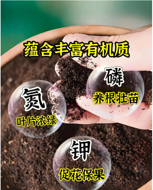 有机肥真的这么神奇吗？怎样才是最合理的施肥方式呢？