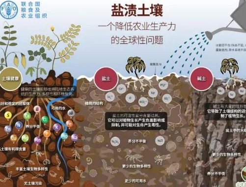 土壤板结的“元凶”竟然是它