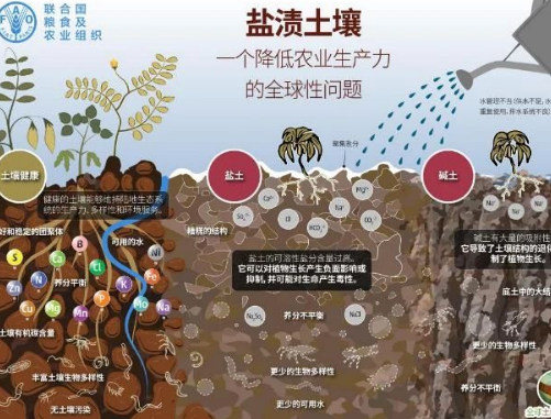 土壤板结的“元凶”竟然是它！你绝对想不到