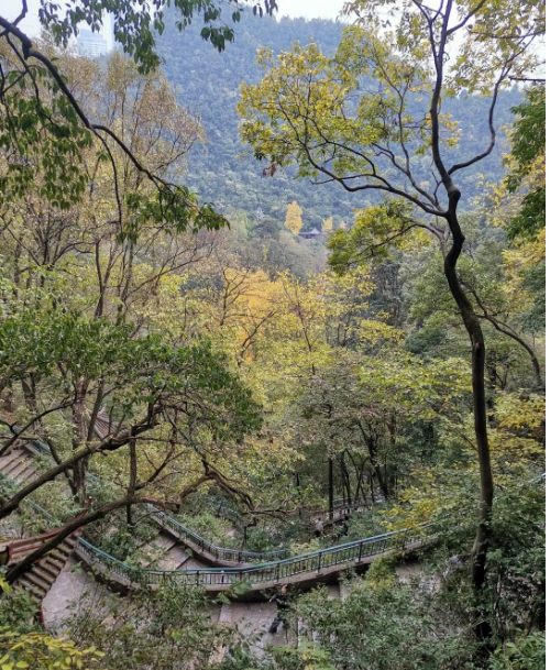 土壤保卫战全面升级！六部门联合发布《土壤污染源头防控行动计划》